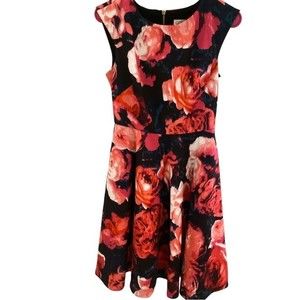 ELIZA J Floral Fit & Flare Cap Sleeve Dress | Bold Red Pink Roses | Size 2